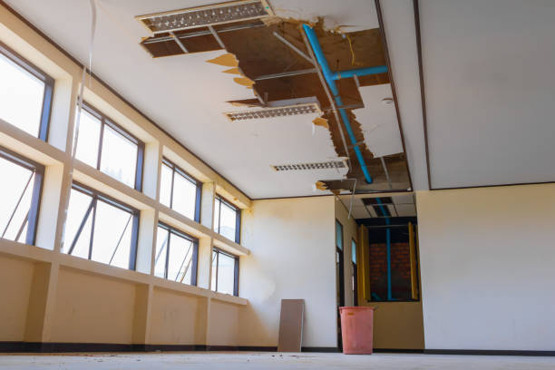 Best Sewage cleanup and water damage restoration  in Bowling Green, MO