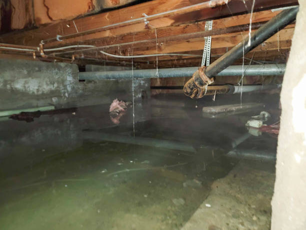 Best Water damage restoration near me  in Bowling Green, MO