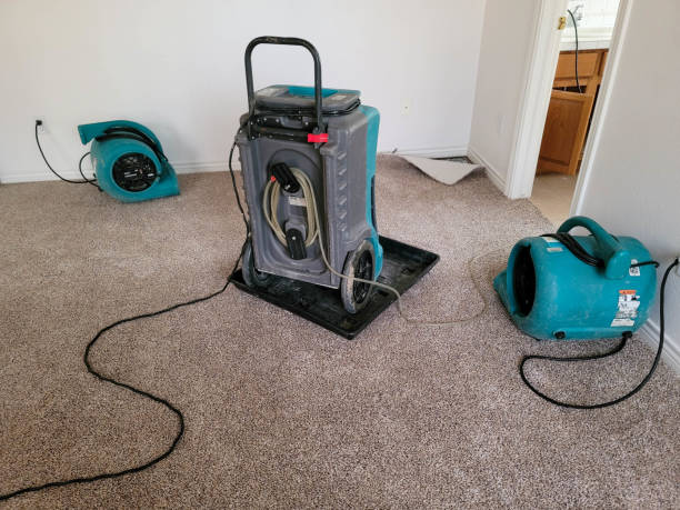 Best Professional water damage repair  in Bowling Green, MO