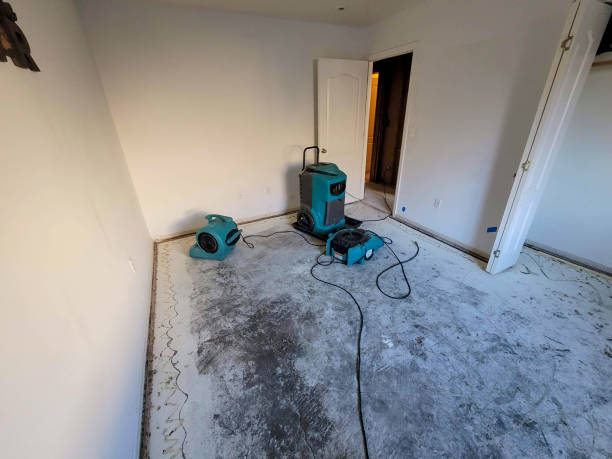 Best Water damage restoration mold remediation  in Bowling Green, MO