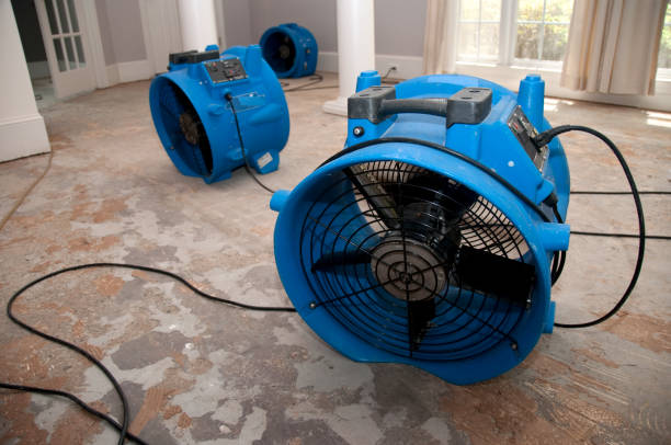 Best Water damage restoration process  in Bowling Green, MO