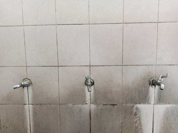 Best Flood restoration services  in Bowling Green, MO