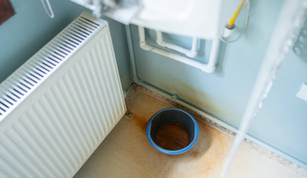 Best Ceiling water damage repair  in Bowling Green, MO
