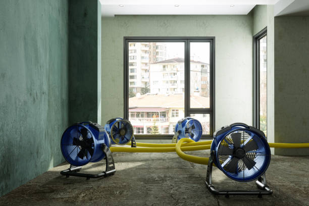 Best Sewage cleanup and water damage restoration  in Bowling Green, MO